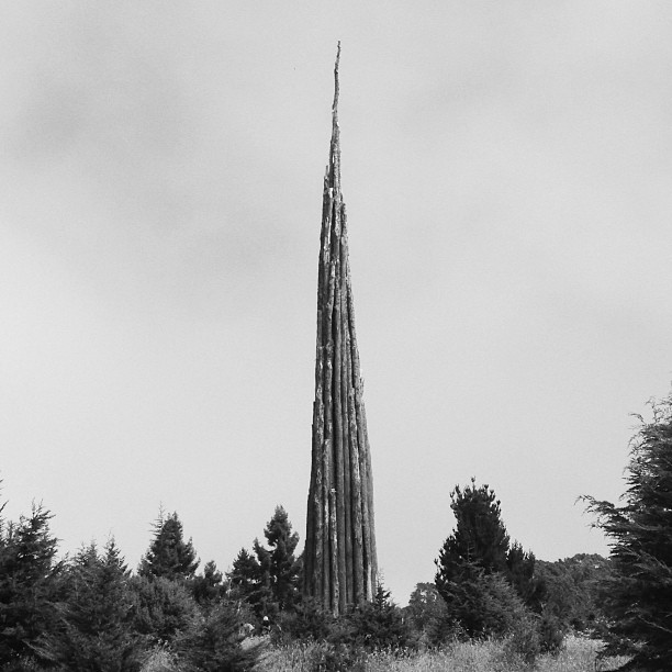 San Francisco, CA.